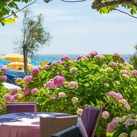 Hotel Méditerranée Le Lavandou