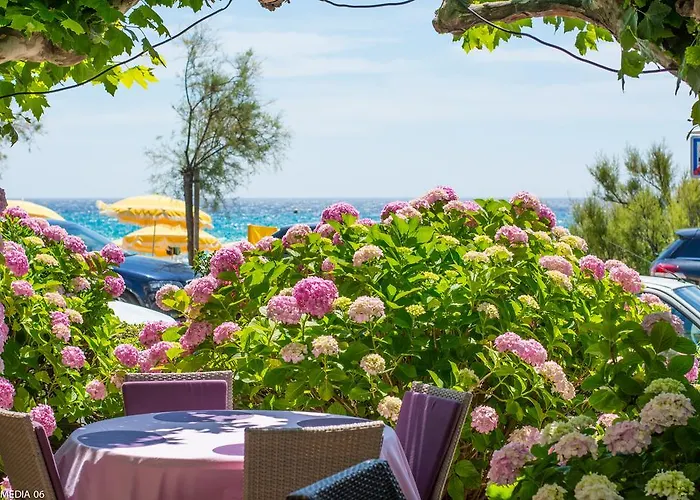 Hotel Méditerranée Le Lavandou