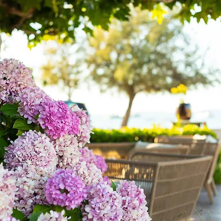 Mediterranee Hotell