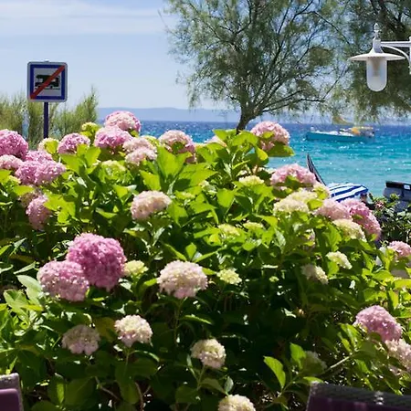 Méditerranée Le Lavandou